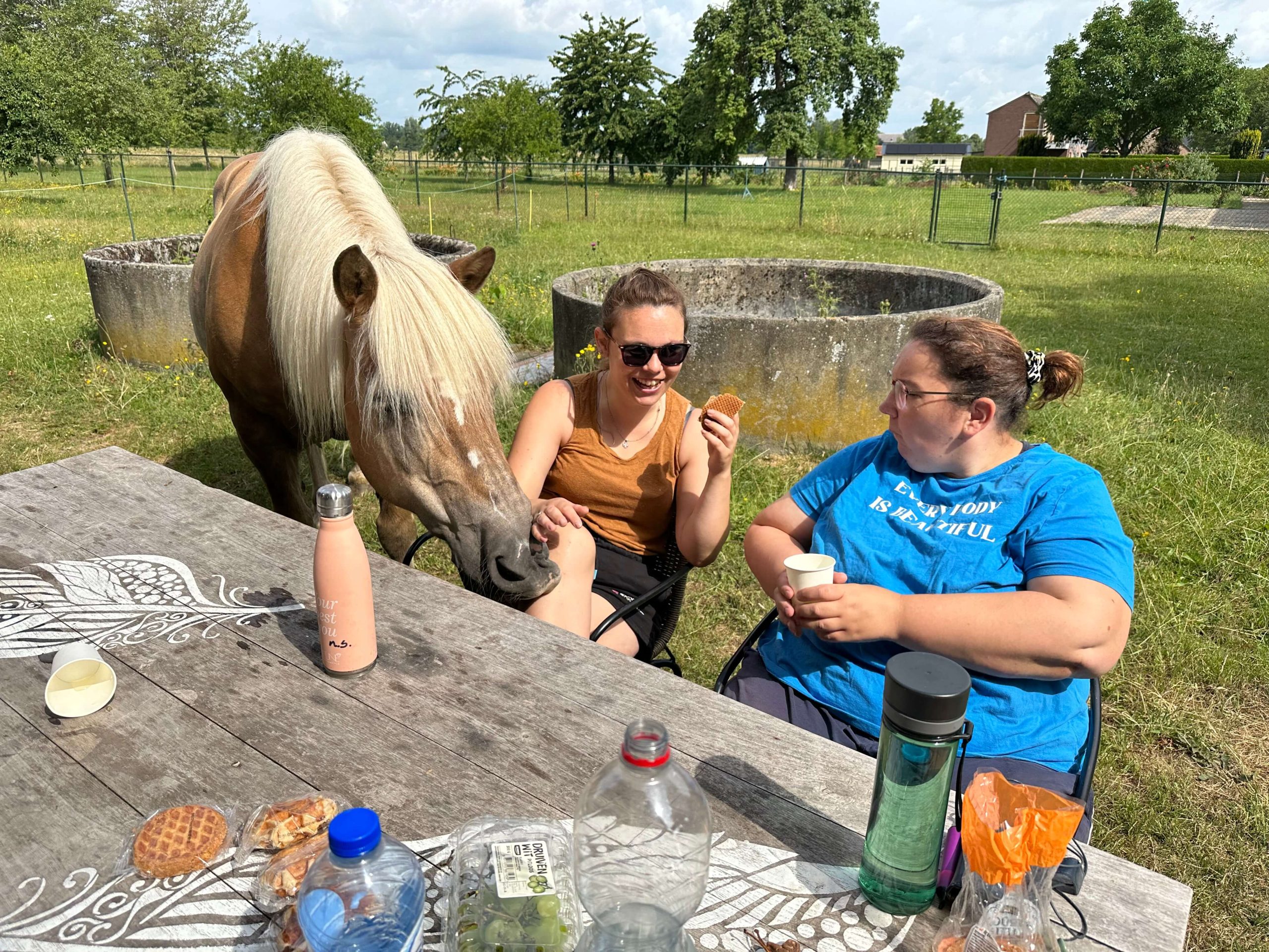 Afbeelding zonder ALT
