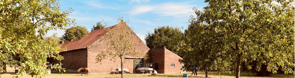 Afbeelding zonder ALT